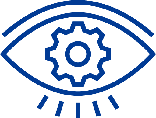 Vision